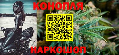 сатива Комсомольск-на-Амуре