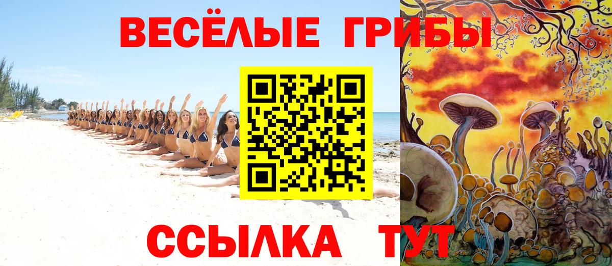 Кириши  Галлюциногенные грибы ЛСД  Вход с VPN 