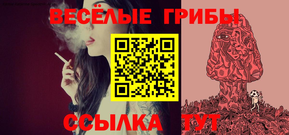 Галлюциногенные грибы ЛСД Кириши